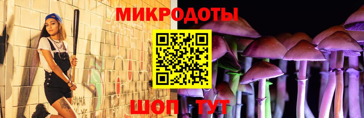 Псилоцибиновые грибы GOLDEN TEACHER  Вход с VPN  Гатчина 