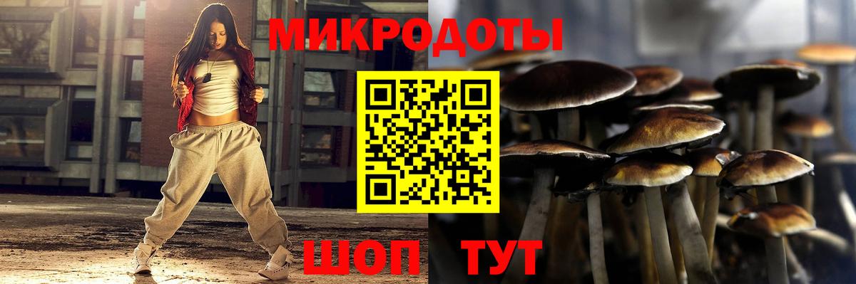 Псилоцибиновые грибы прущие грибы Гатчина